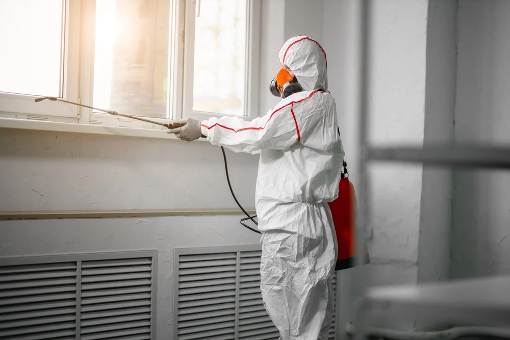 Professional mold remediation services in East Kingston, NH